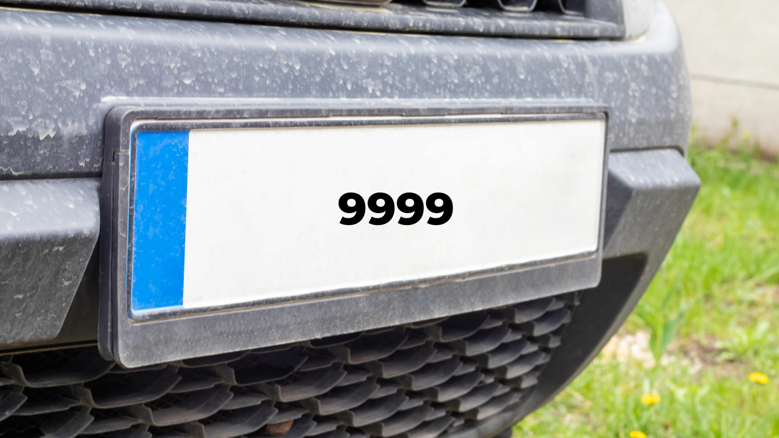 Freepik Export 202406060945065lbn