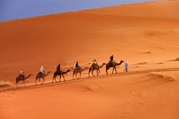 berber-man-leading-camel-caravan Berber Man Leading Camel Caravan