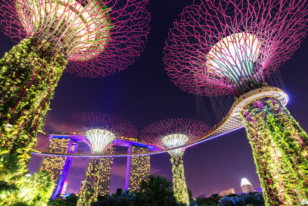 Singapore January 11 2018 Supertree Grove Forest Illuminated Night Gardens By Bay Singap